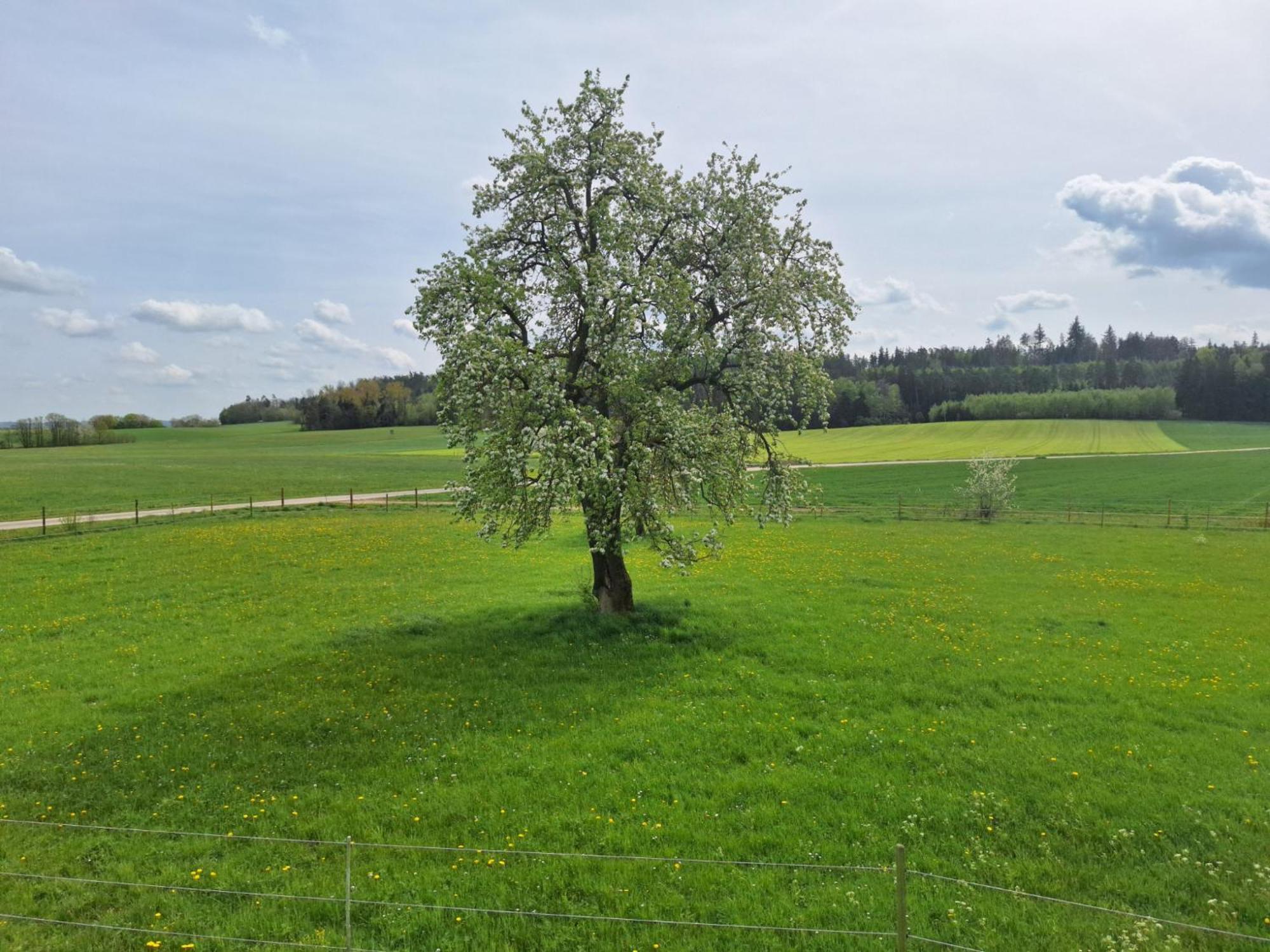 Plath * Wettringen (Bavaria)